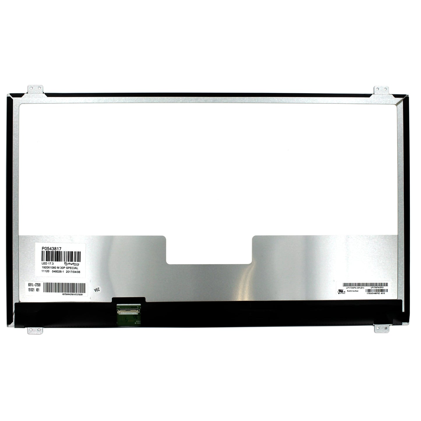 17.3 Zoll LCD-Bildschirm 1920x1080 Matt 30Pin eDP, IPS