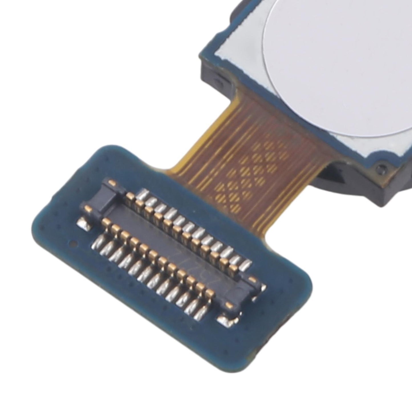 Telelenscamera voor Samsung Galaxy A53 5G (SM-A536B)