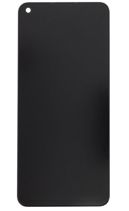 Display module Motorola One Action