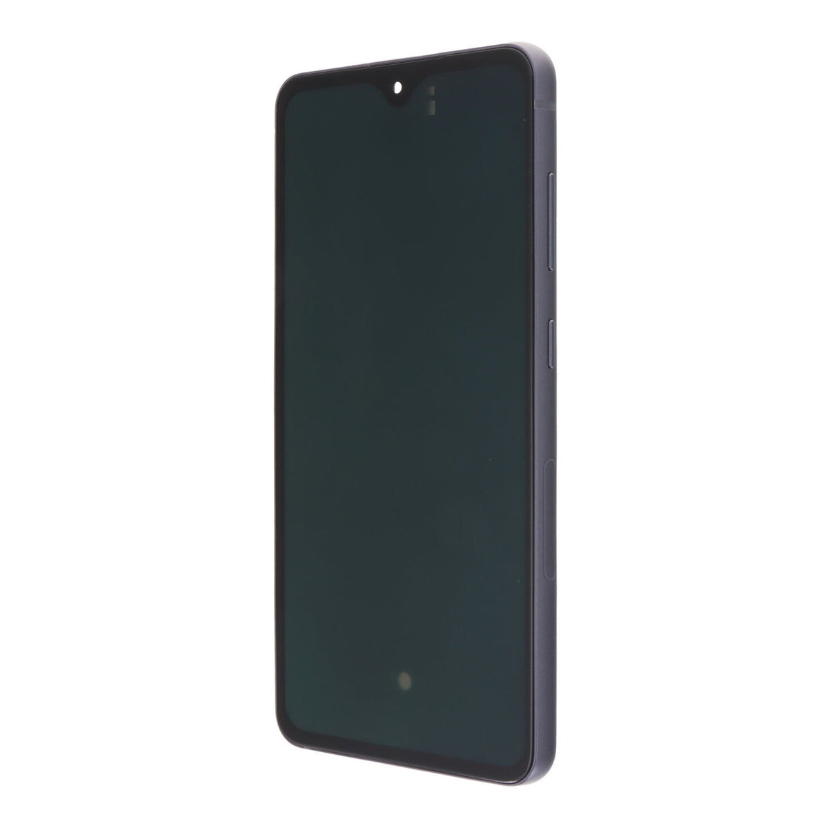 Display module Samsung Galaxy S21 FE 5G (OLED)