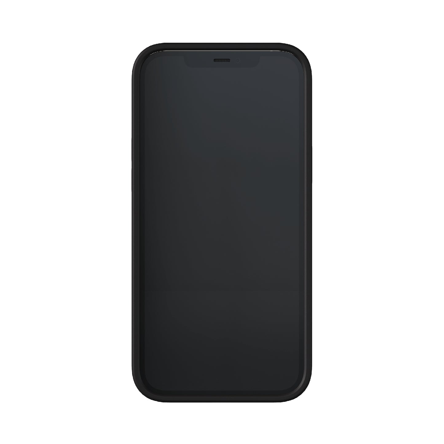 Richmond & Finch Freedom Series One-Piece Apple iPhone 12 Pro Max Blue Leopard