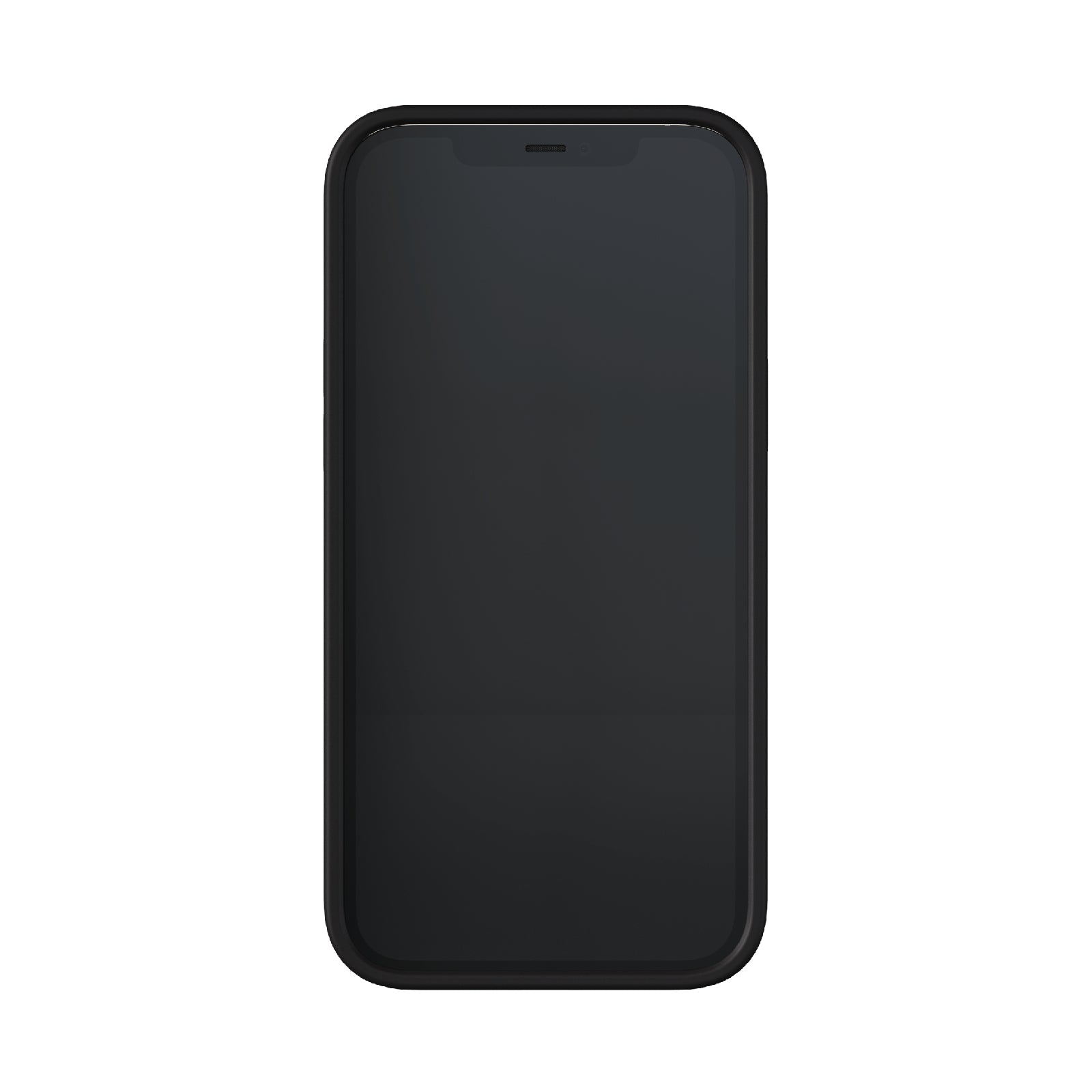 Richmond & Finch Freedom Series One-Piece Apple iPhone 12 Pro Max Blue Leopard