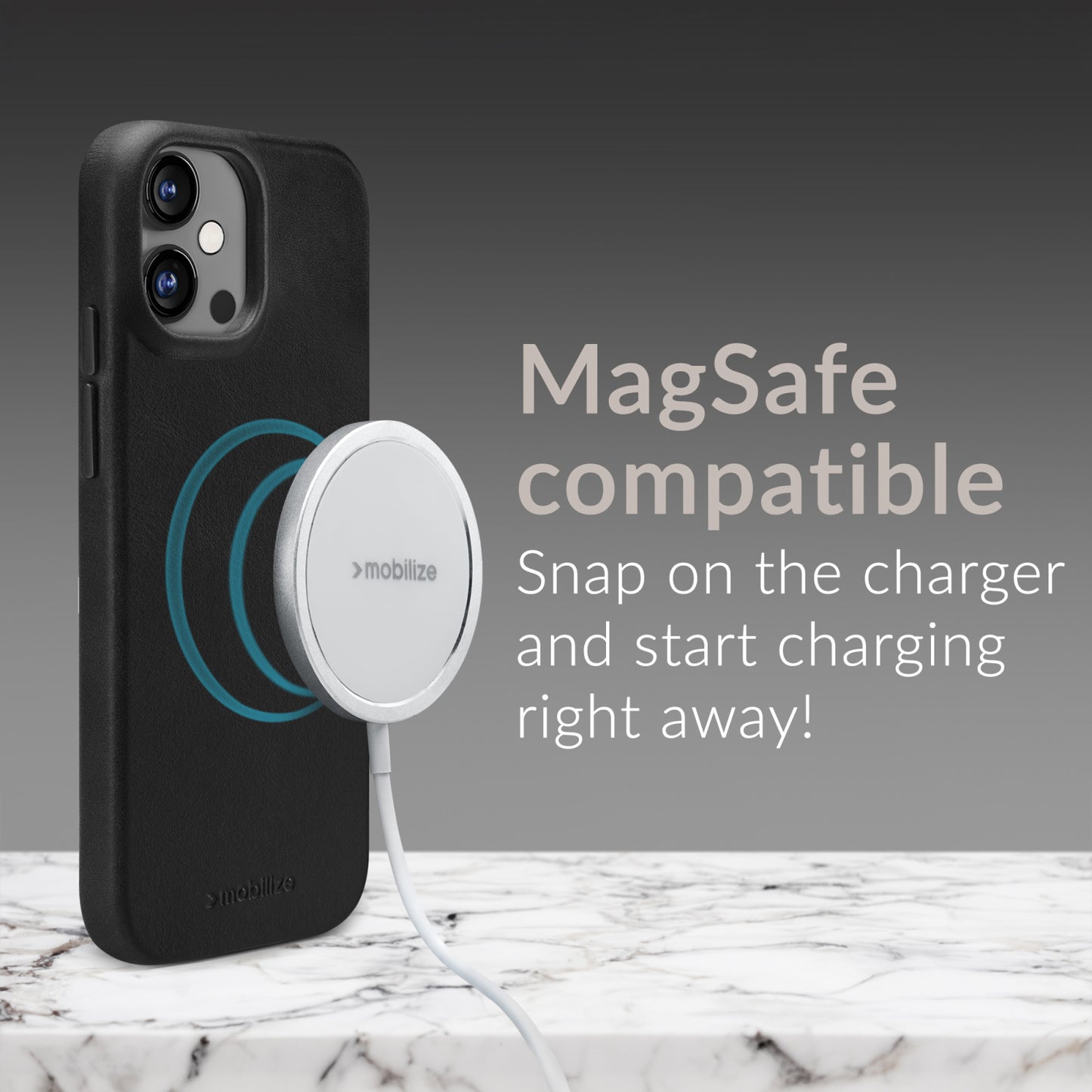 Mobilize Magsafe Compatible Premium Leather Case Apple iPhone Air Black