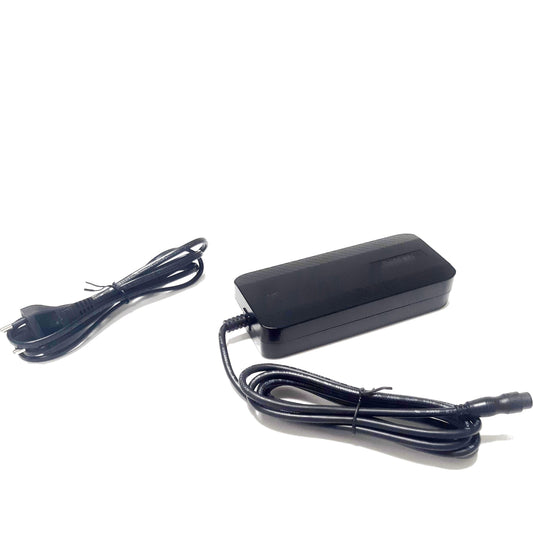 DT Darfon STEPS E5000/E6100 Akkuladegerät 36V 2A