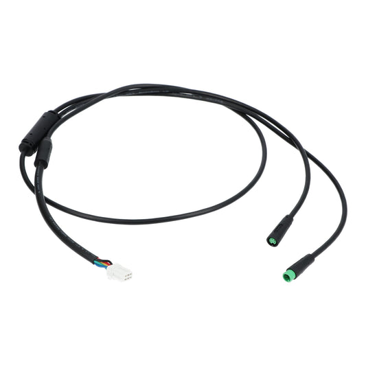 Motinova Displaykabel 1 naar 2  HT L=670/550/550mm