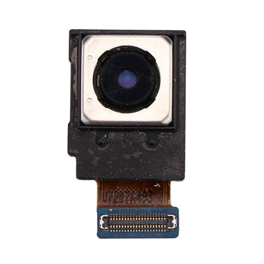 Achtercamera voor Samsung Galaxy S8 SM-G950 (US-versie)