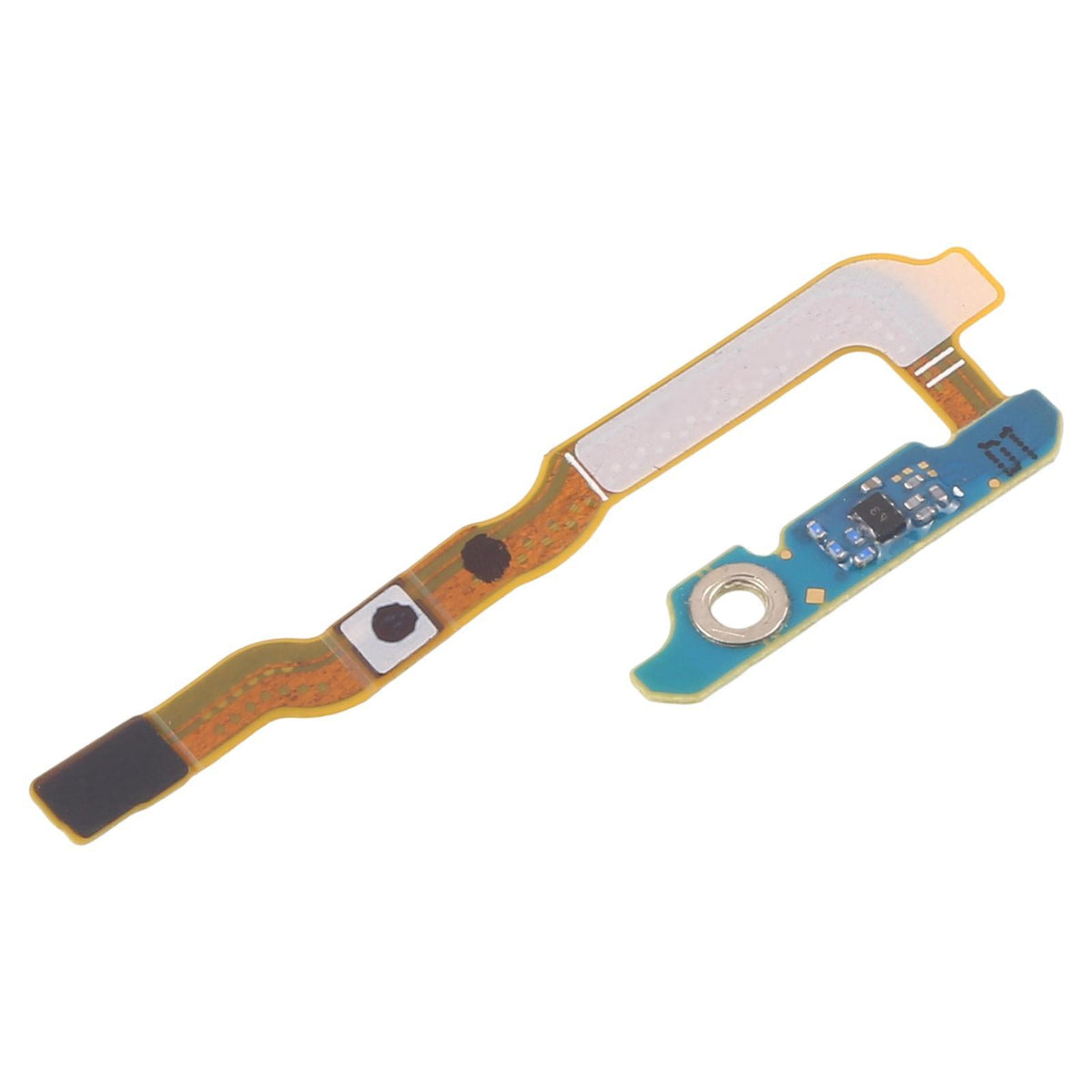 Antenneflexkabel voor Samsung Galaxy Z Fold7 SM-F966B