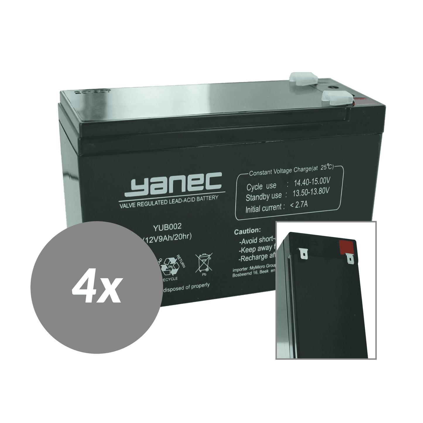Yanec Onduleur Batterie de remplacement RBC24 (Câbles Exclus)