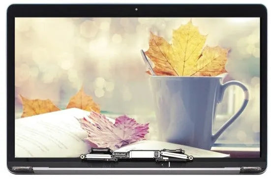 Displayeinheit für MacBook Pro 13.3 A2289 (2020) (Space Grau)