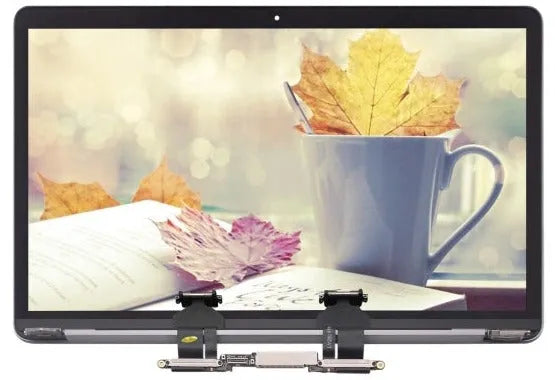 Displayeinheit für MacBook Retina 13 A2251 (2020) (Grau)