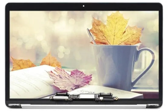 Display unit voor MacBook Pro 13 inch A1706 A1708 (2016/2017, spacegrijs)