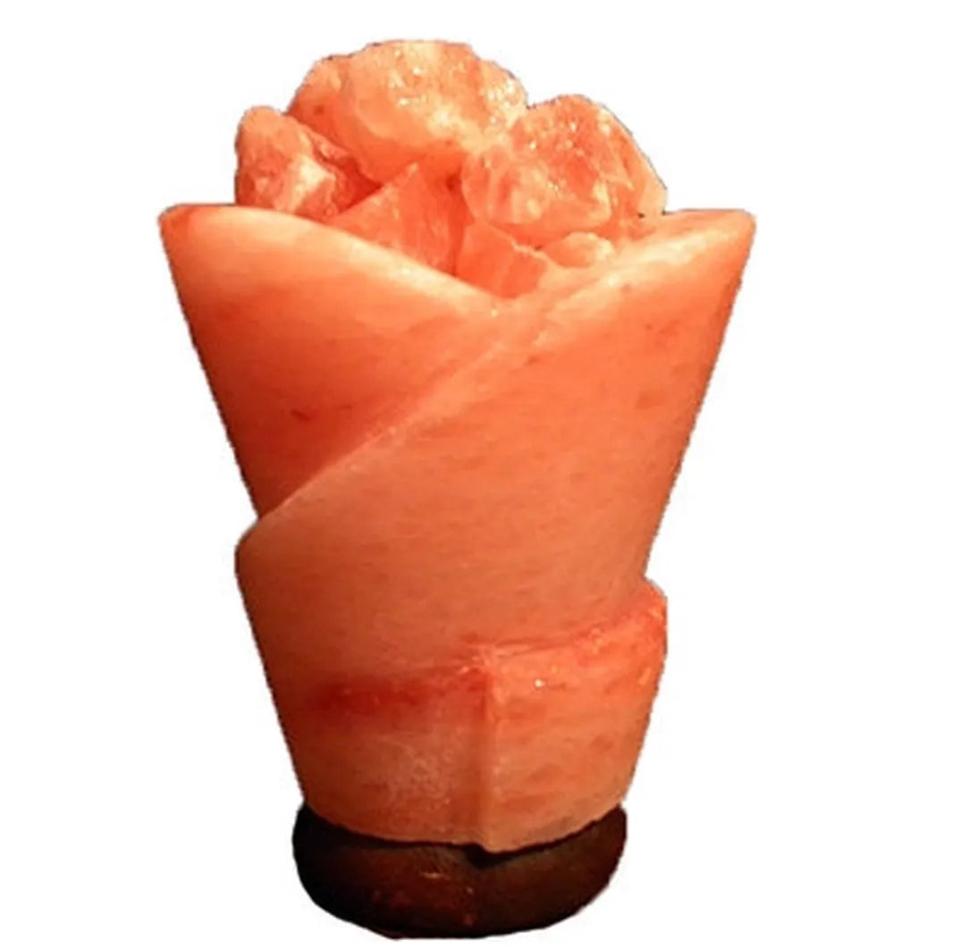 XXL Himalaya Salzlampe 20cm 3-4KG