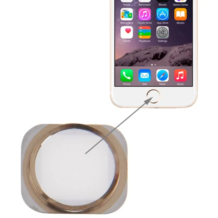 Home-knop voor iPhone 6 (wit, type 2)