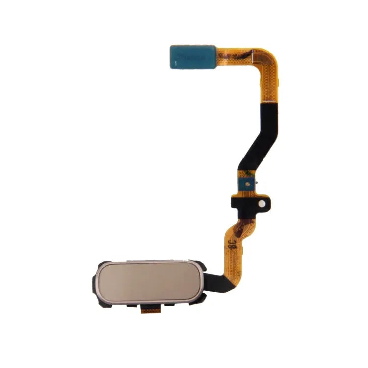 Voor Galaxy S7 / G930 Functietoets Home Key Flexkabel (Goud)