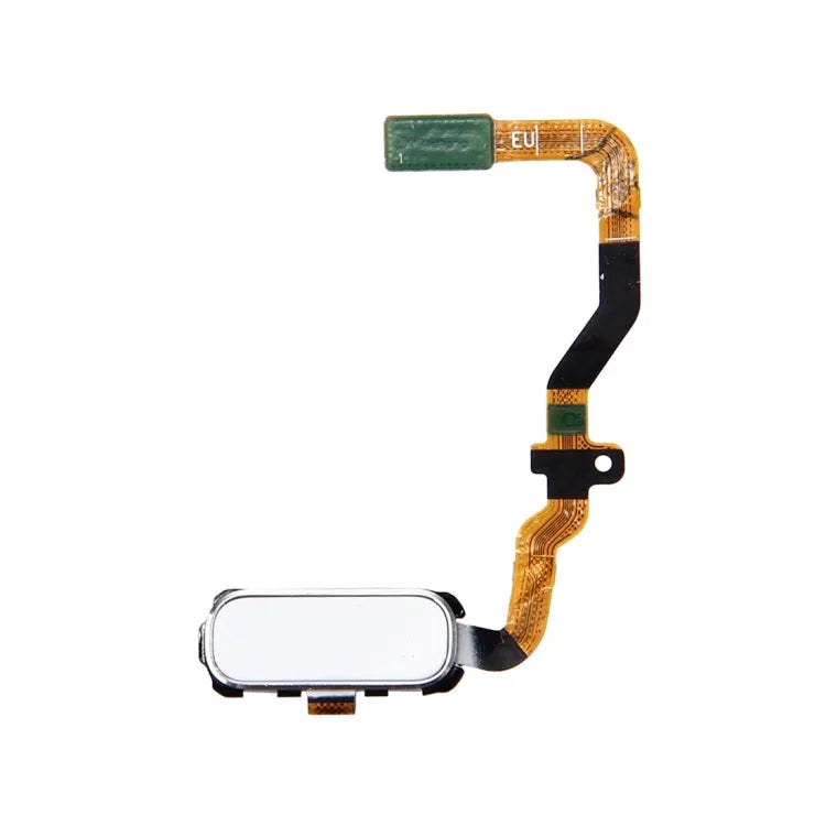 Voor Galaxy S7 / G930 Home-knop Flex-kabel (wit)