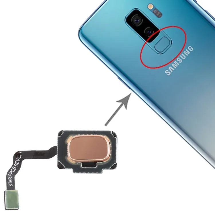 Voor Galaxy S9 / S9+ Vingerafdruksensor Flexkabel (Goud)