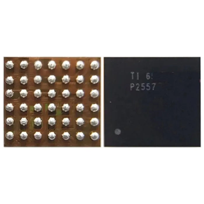 AUDIO IC MODULE P2557