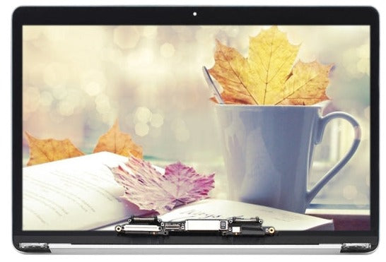 Display unit voor MacBook Pro 13 A1706 A1708 2016-2017 zilver