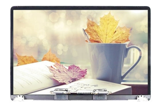 Display unit voor MacBook Pro 13.3 A1989 2018-2019 grijs