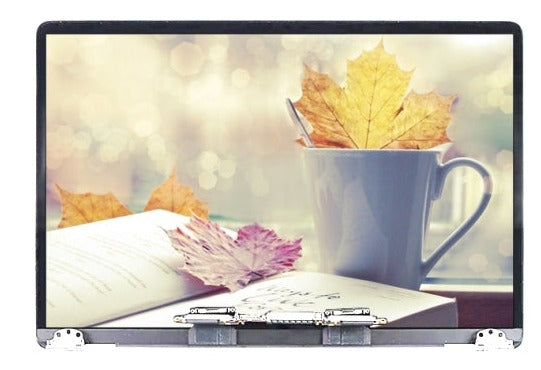 Display unit voor MacBook Pro 13.3 A1989 2018-2019 zilver