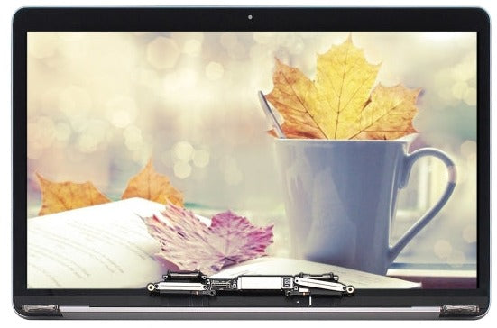 Display unit voor MacBook Pro 13.3 A2289 2020 grijs