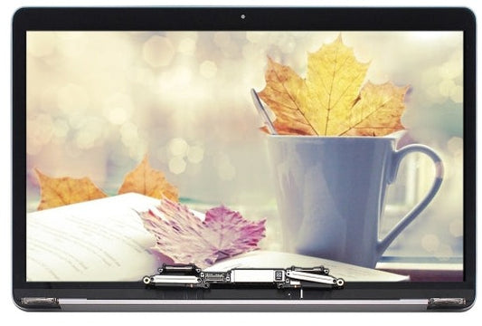 Display unit voor MacBook Pro 13.3 A2289 2020 zilver